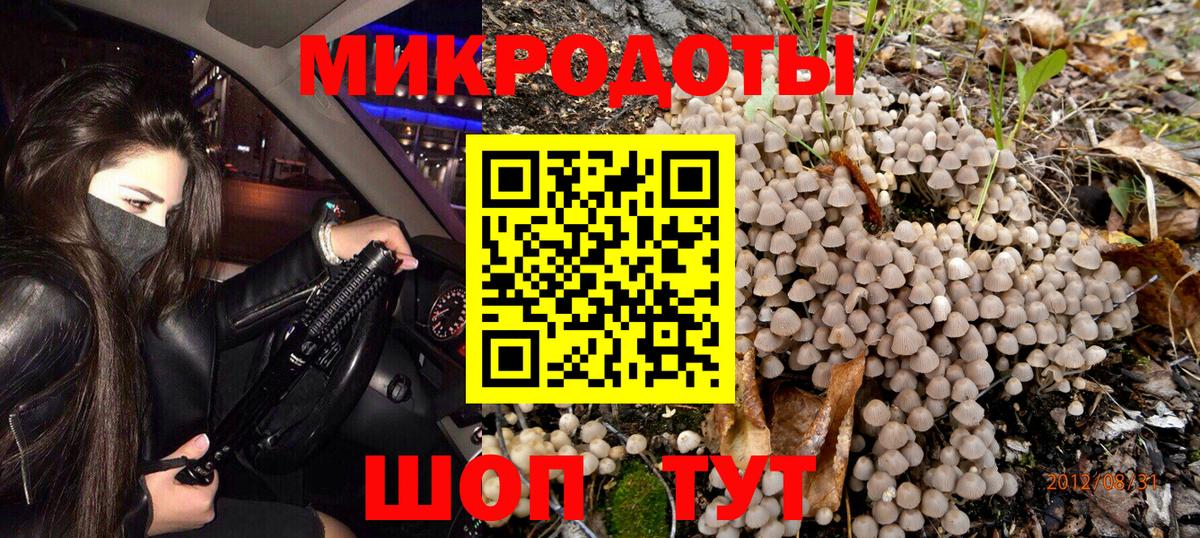 Галлюциногенные грибы GOLDEN TEACHER Ростов-на-Дону