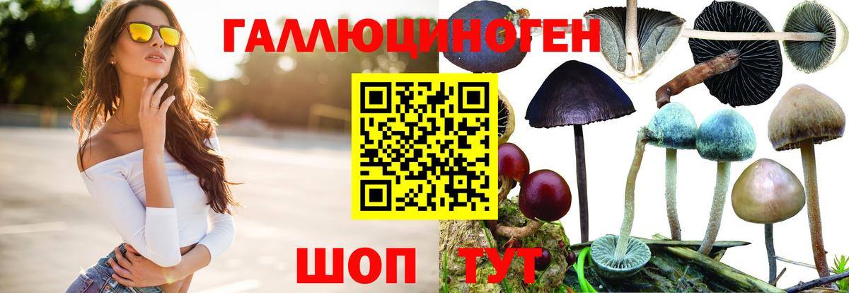 Ростов-на-Дону  Галлюциногенные грибы ЛСД  Вход с VPN 