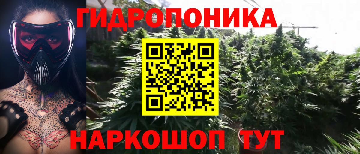 Шишки марихуана индика  МАРИХУАНА LSD WEED  Каннабис планчик  Ростов-на-Дону  Вход с VPN 